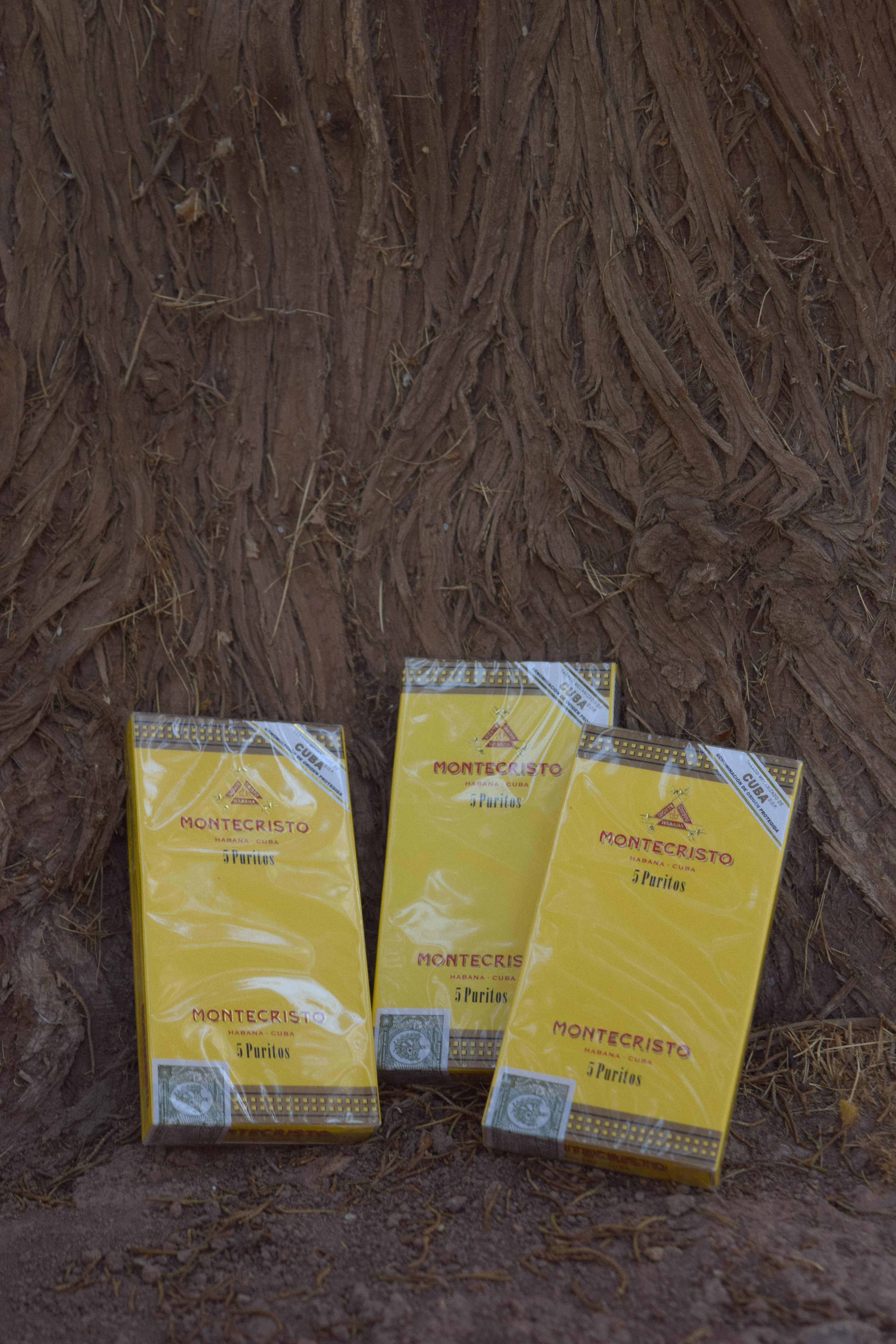 Puros Montecristo x20